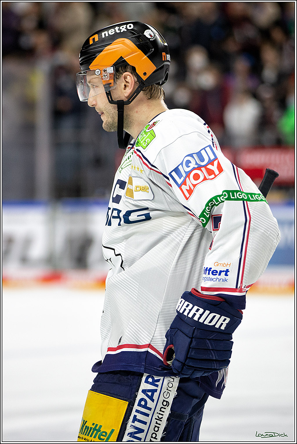 PENNY DEL;  Koelner Haie - Eisbaeren Berlin; Koeln, 12.04.2022